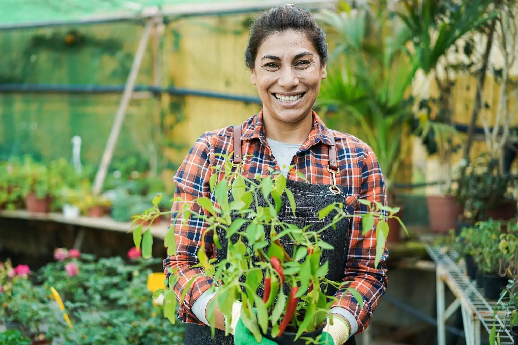 Happy latin woman working inside greenhouse garden - Nursery and spring concept - Focus on face