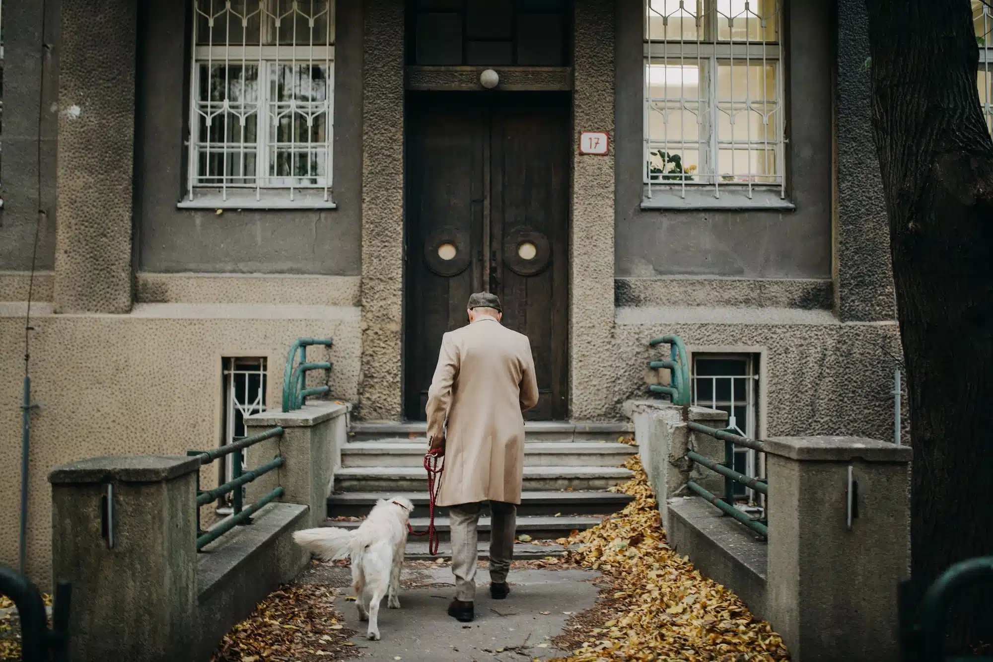 Rear view of elegant senior man coming home from walk with his dog in city in winter